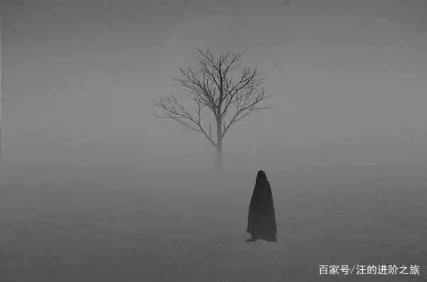 生来孤独,唯有倔强成长