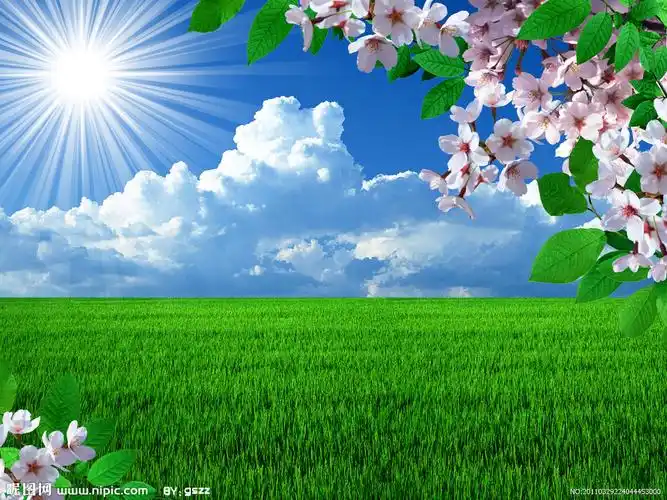 蓝天白云绿野鲜花图片