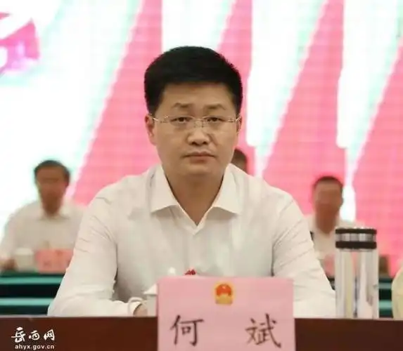 通过投票选举, 何斌当选为岳西县人民政府县长; 余飞,昂朝坤,储爱华