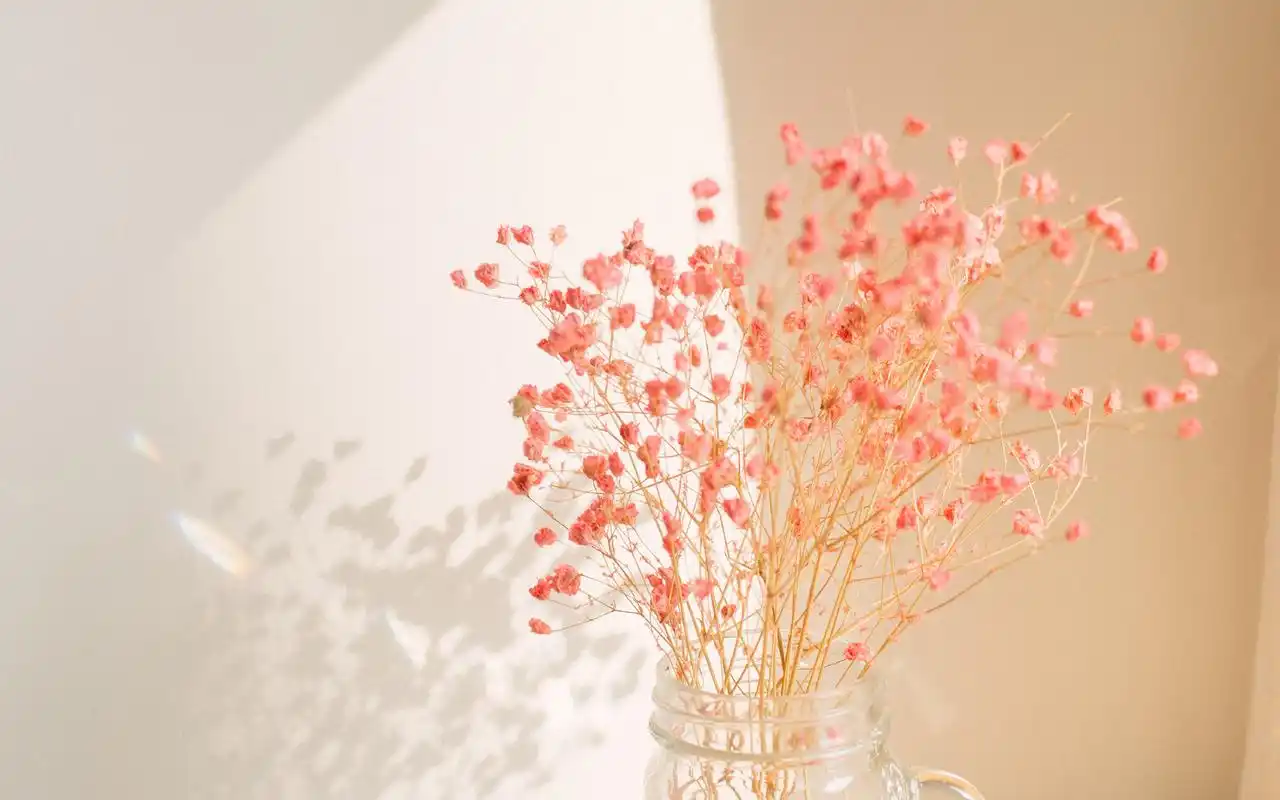 暖色系清新静物图片高清壁纸