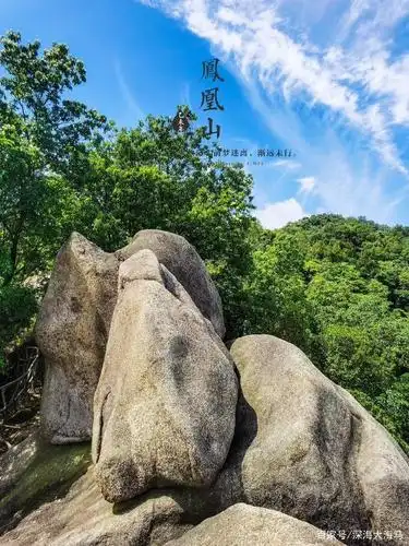深圳市凤凰山森林公园山顶美如画,随手一拍都是美图