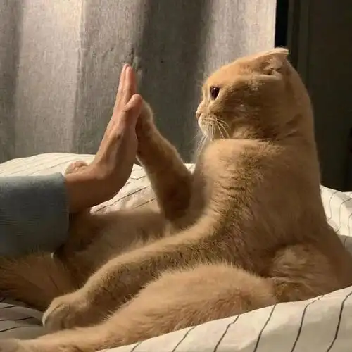 一些有趣好玩的搞怪头像_灵魂