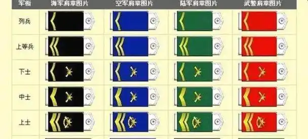 士兵主要从肩牌(章)上来区分级别大小,军官除了从肩章上区别军衔大小
