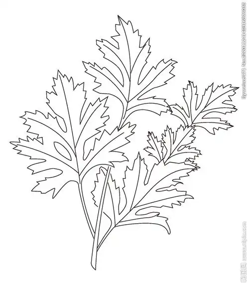 艾草设计图__卡通设计_广告设计_设计图库_昵图网nipic.com