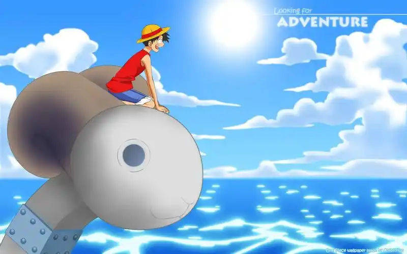 有那些海贼王超清电脑壁纸