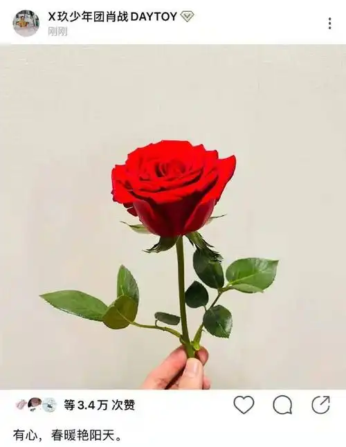 肖战手拿玫瑰花,手是谁的?我从80张照片里找到主人