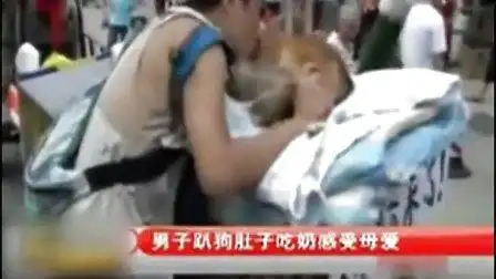 重口味!男人直接趴狗肚喝奶