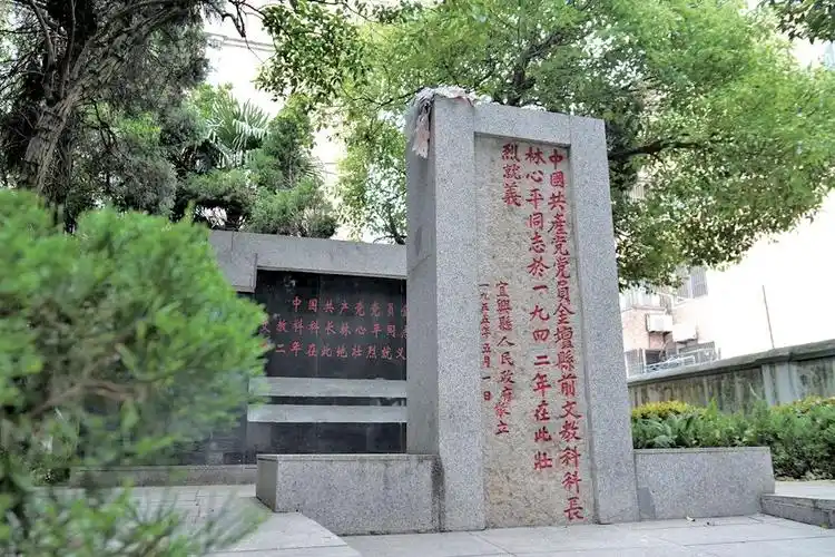 她来自平阳笑对日寇酷刑重读烈士林心平家书感受信仰的力量英雄家书