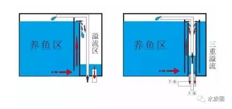 鱼缸底滤系统原理(最烧脑的过滤体系) - misswu 的回帖 - 鱼水圈