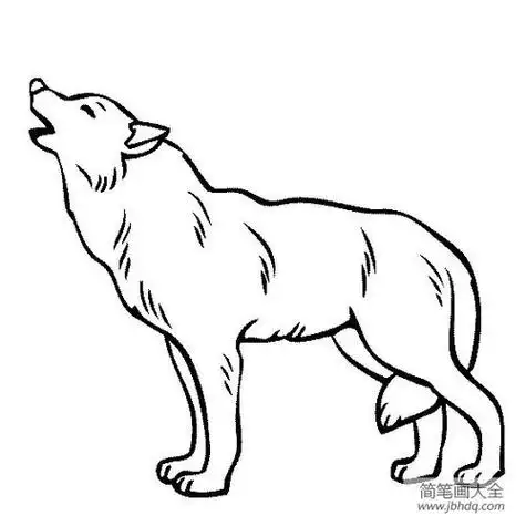 简笔画凶猛的狼的画法