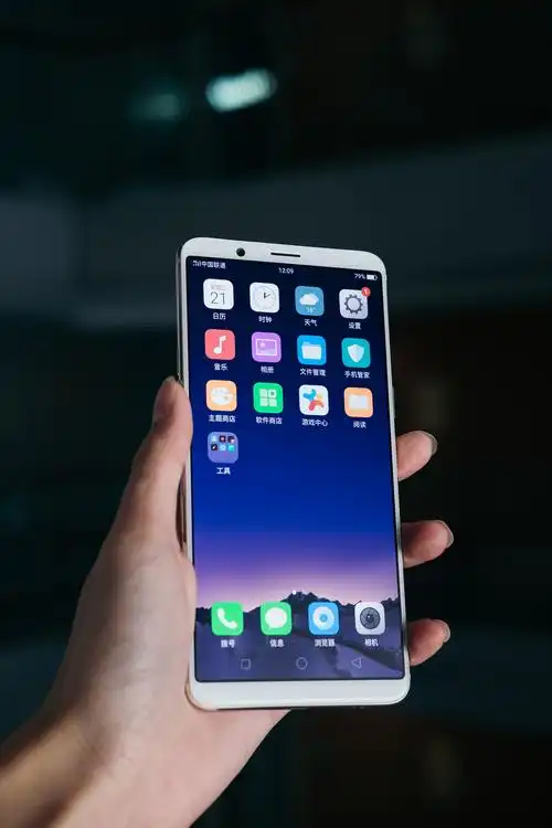 6.4寸全面屏游戏更爽 oppo r11s plus评测体验_天极网