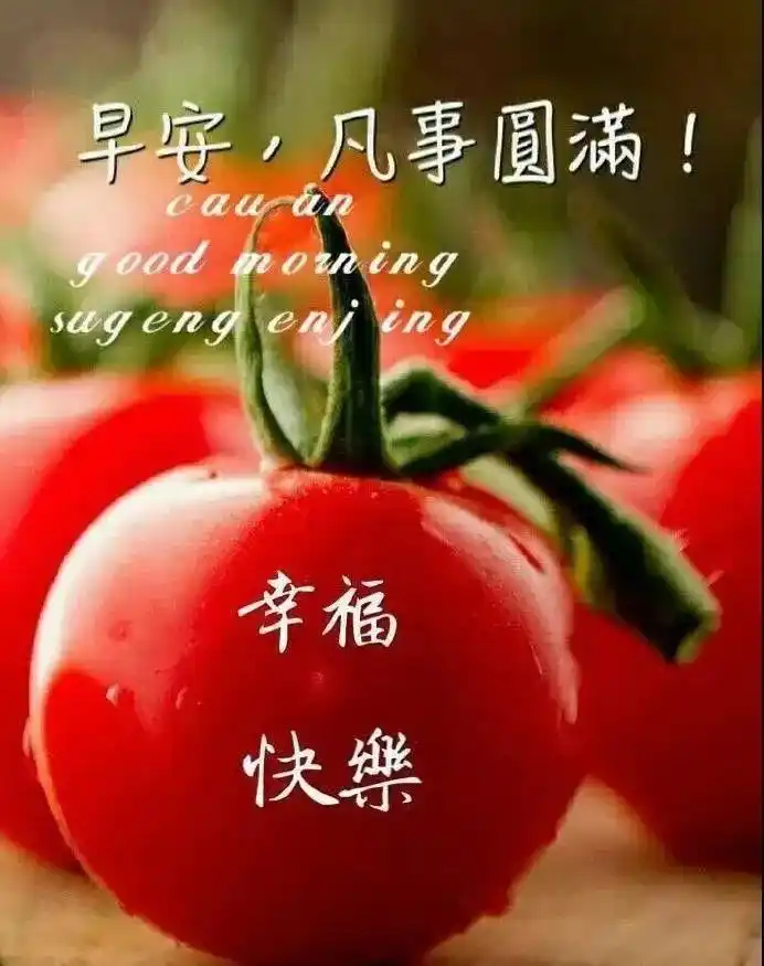 大家早上好,有创意喜气温馨的早安图片带字精选,暖心好看的早上好图片