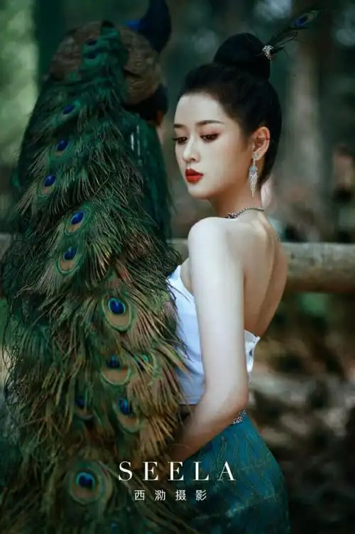 纳_景傣:  孔雀公主 (#少数民族服装#  #傣族服装#)