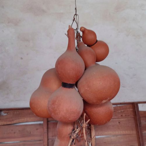 天然老葫芦一物一图各种形状带藤龙头家居摆件招财吉祥物