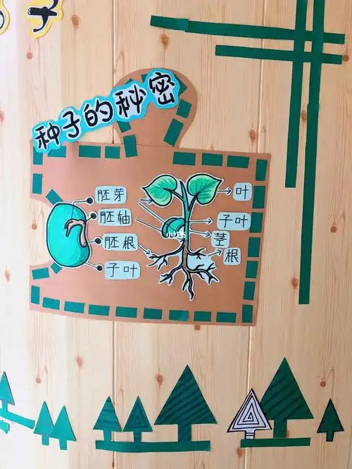 班级环创主题墙魔力小种子