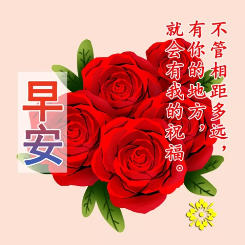 11月29日群发清晨早上好问候祝福动态表情图片早安问候语及暖心的话