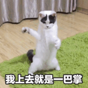 我上去就是二巴掌_巴掌_上去_就是表情