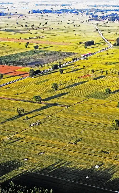 data-lemmaid="1932950">三大平原 /a>之一,中国人口最