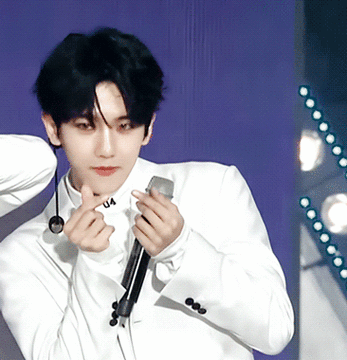 边伯贤表情包/gif