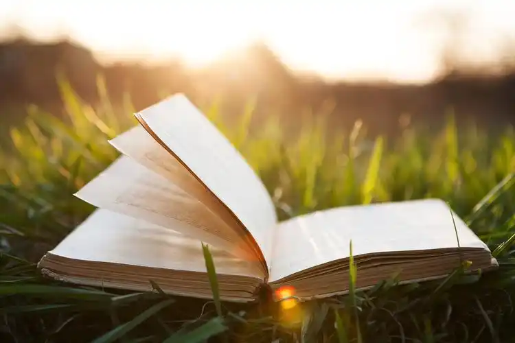 阳光下的草地上一本打开的书翻开草书
