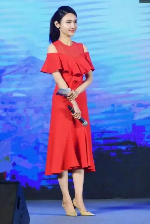 龙洋结婚了吗央视美女主持人龙洋