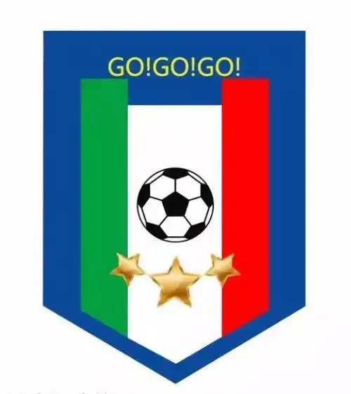 佳作欣赏第五届小小世界杯班级足球队队旗设计评选一二等奖作品