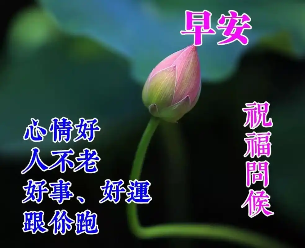 原创2021年7月17日星期六清晨早上好问候图片 周六最新早安问候祝福