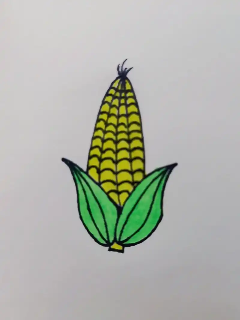 玉米简笔画.我们家晚餐是:稀饭 玉米#简笔画 #画画 #一起 - 抖音