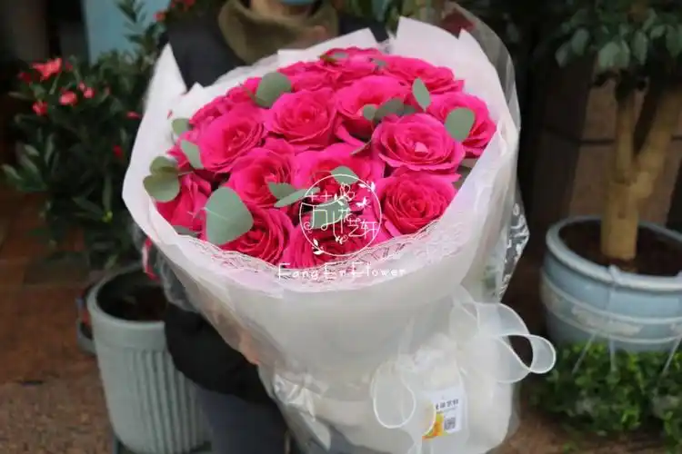 佛罗伊德玫瑰花束