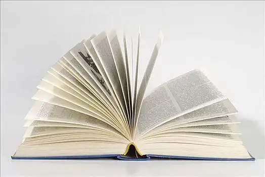 翻开,向上,书本