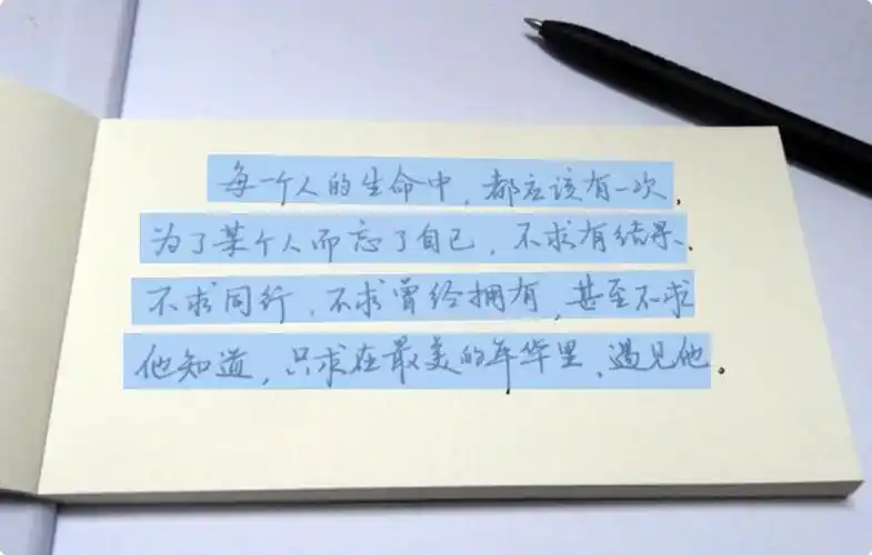 强大的实况文本功能直接复制图片上的文字macos