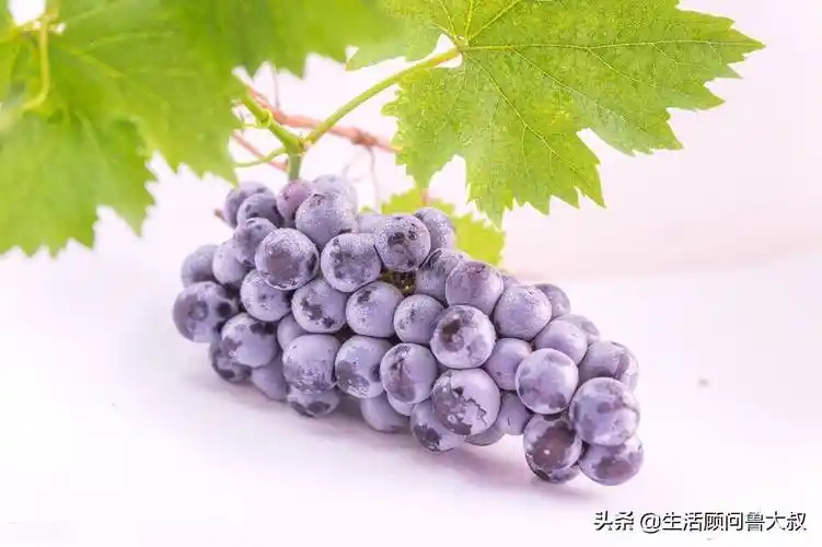 25种常见水果的英文名称