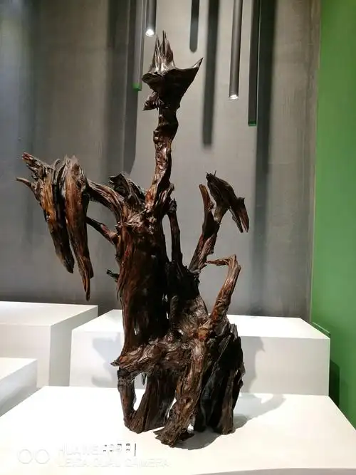 吉林市博物馆——松花湖浪木