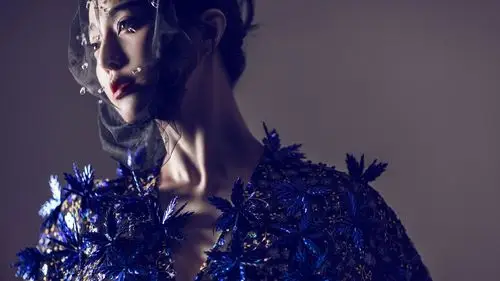 女神范冰冰气质写真高清桌面壁纸