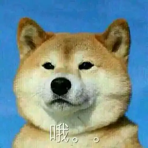 斗图表情包 - 斗图神器 - adoutu.com