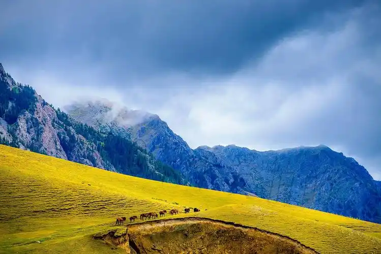 哈萨克族谚语 句句让人深思