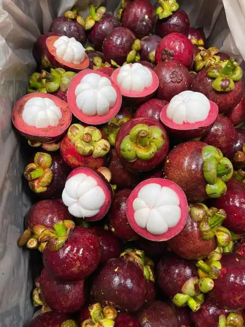 山竹新鲜3-4a大果顺丰冷链坏果包赔tipo 5斤【图片 价格 品牌 报价】