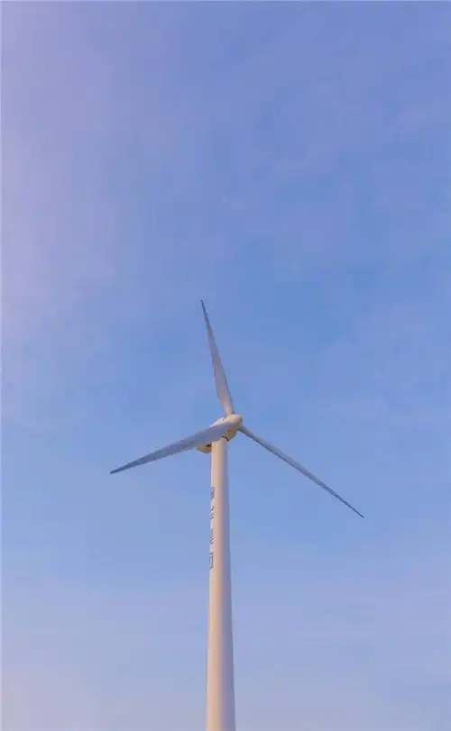 保护眼睛的桌面壁纸,绿色桌面背景图护眼(高清养眼绝美手机壁纸102张)