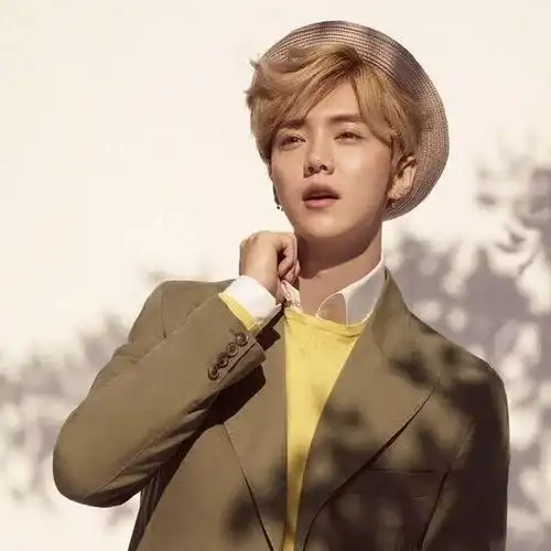 鹿晗原名叫什么(鹿晗自称刘壮实) - 颖恩有料