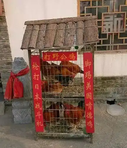 小年到瞧农村街头巷尾这搞笑对联赶紧分享网友高手