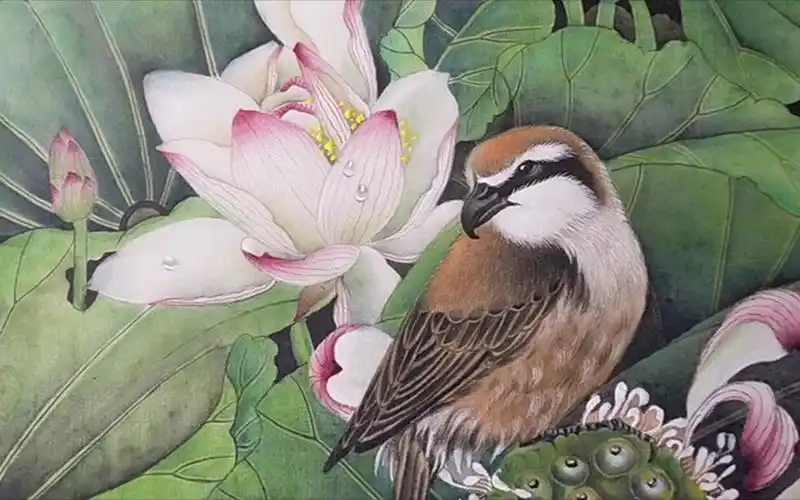 工笔国画荷花和鸟作画过程