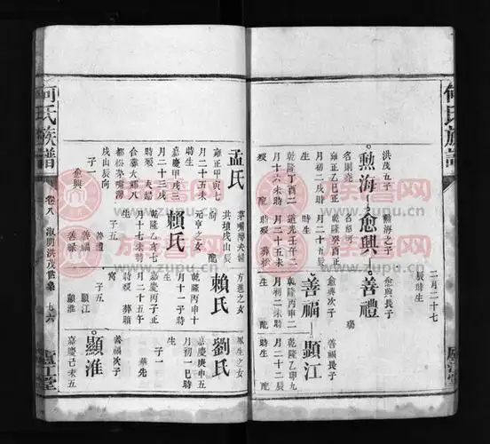 何氏族谱9卷第8本