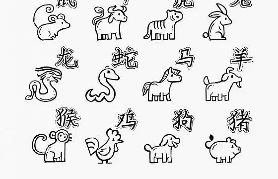 十二生肖图片素材