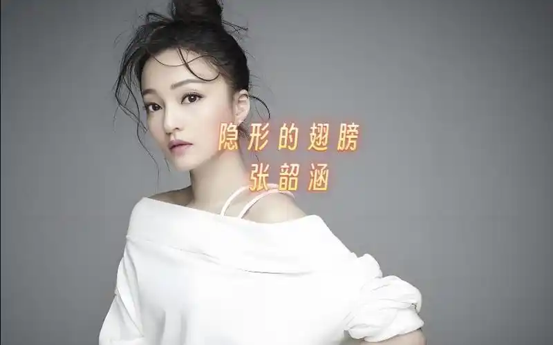 隐形的翅膀-张韶涵 张韶涵《隐形的翅膀》,以温柔却坚韧的嗓音,唱响