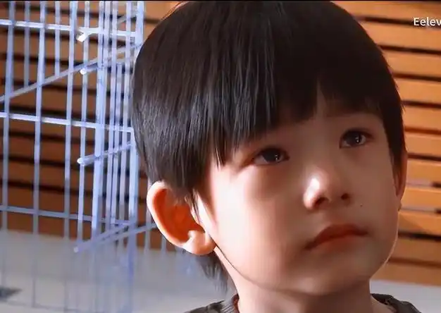 基因骗不了人顶顶和瘦版潘粤明不能说毫无差别只能说一模一样