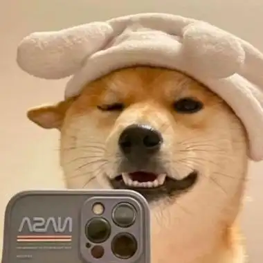 可爱动物头像_男生头像_我要个性网