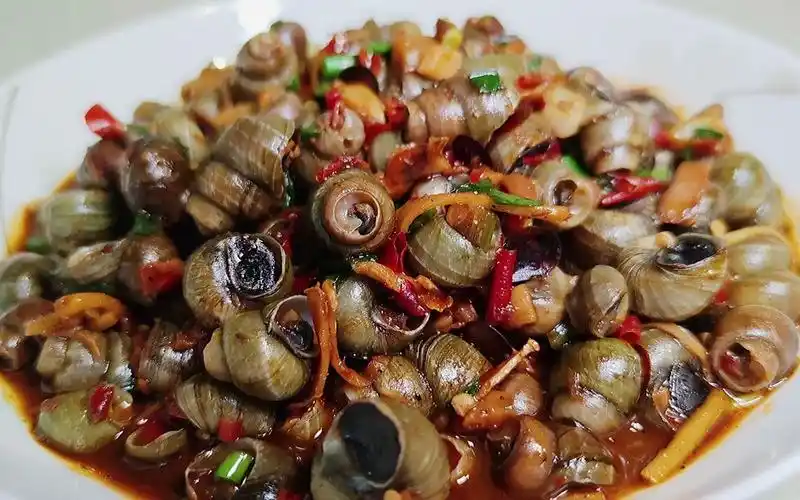 5":爆炒螺蛳,一看就会做,千岛之吻,舌尖美食推荐_哔哩哔哩_bilibili