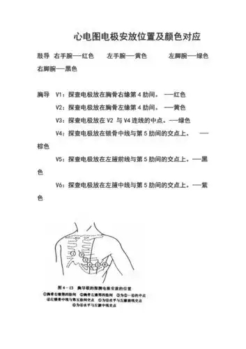 心电图电极安放位置及颜色对应