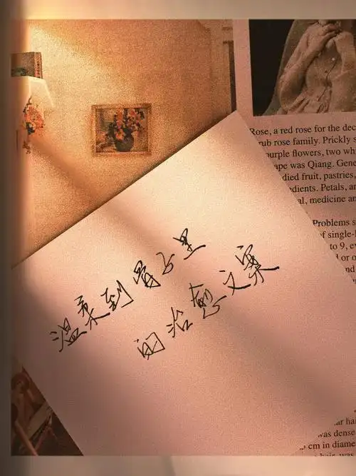 温柔到骨子里的治愈文案手写