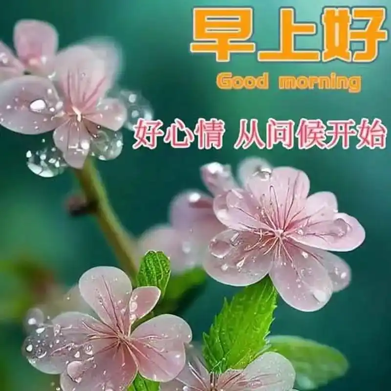 每天给自己一份潇洒,不为明天担忧,不为昨天懊恼,只为今天更快乐,早安